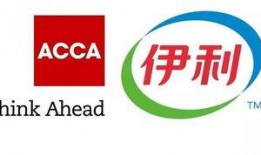 伊利最新爆料信息,揭秘乳业巨头背后的创新与挑战